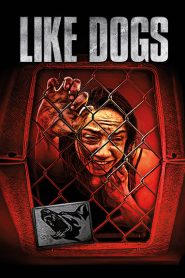 مشاهدة فيلم Like Dogs 2021 مترجم