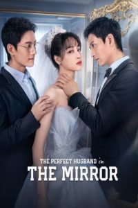 مسلسل The Perfect Husband In The Mirror