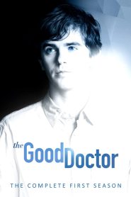 The Good Doctor: الموسم 1