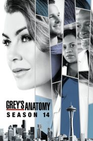 Grey’s Anatomy: الموسم 14