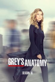 Grey’s Anatomy: الموسم 16