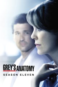 Grey’s Anatomy: الموسم 11