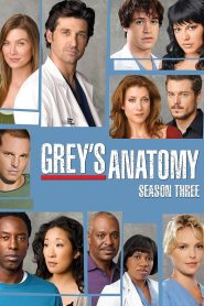 Grey’s Anatomy: الموسم 3