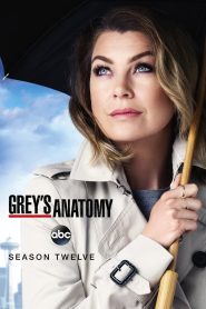 Grey’s Anatomy: الموسم 12