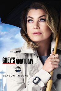 Grey’s Anatomy: الموسم 12