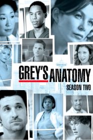 Grey’s Anatomy: الموسم 2