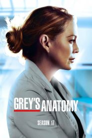 Grey’s Anatomy: الموسم 17