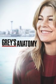 Grey’s Anatomy: الموسم 15