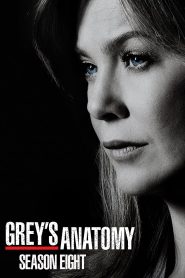 Grey’s Anatomy: الموسم 8