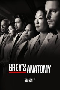 Grey’s Anatomy: الموسم 7