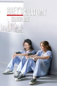 Grey’s Anatomy: الموسم 1