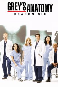 Grey’s Anatomy: الموسم 6