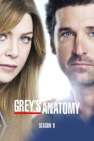 Grey’s Anatomy: الموسم 9