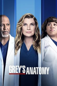 Grey’s Anatomy: الموسم 18