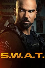 S.W.A.T.: الموسم 6