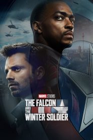 The Falcon and the Winter Soldier: الموسم 1