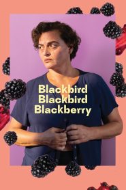 فيلم Blackbird Blackbird Blackberry 2023 مترجم