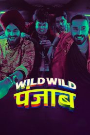 مشاهدة فيلم Wild Wild Punjab 2024 مترجم