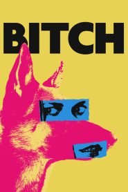 مشاهدة فيلم Bitch 2017 مترجم