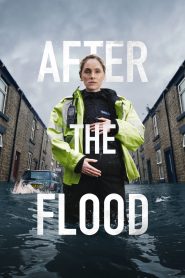 مسلسل After the Flood