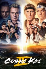 Cobra Kai: الموسم 4