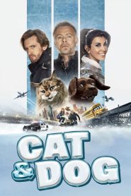 فيلم Cat and Dog 2024 مترجم