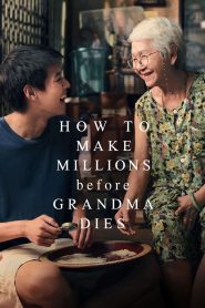 فيلم How to Make Millions Before Grandma Dies 2024 مترجم