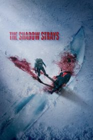 فيلم The Shadow Strays 2024 مترجم