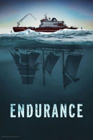 فيلم Endurance 2024 مترجم