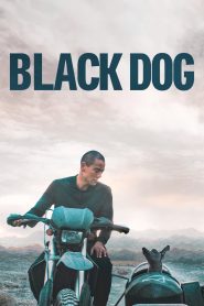 فيلم Black Dog 2024 مترجم